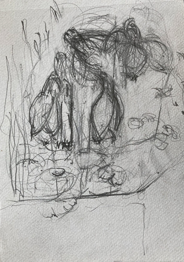 Claudia Liedtke, 2025 easter (ullas akelei ), pencil, A4, Berlin
