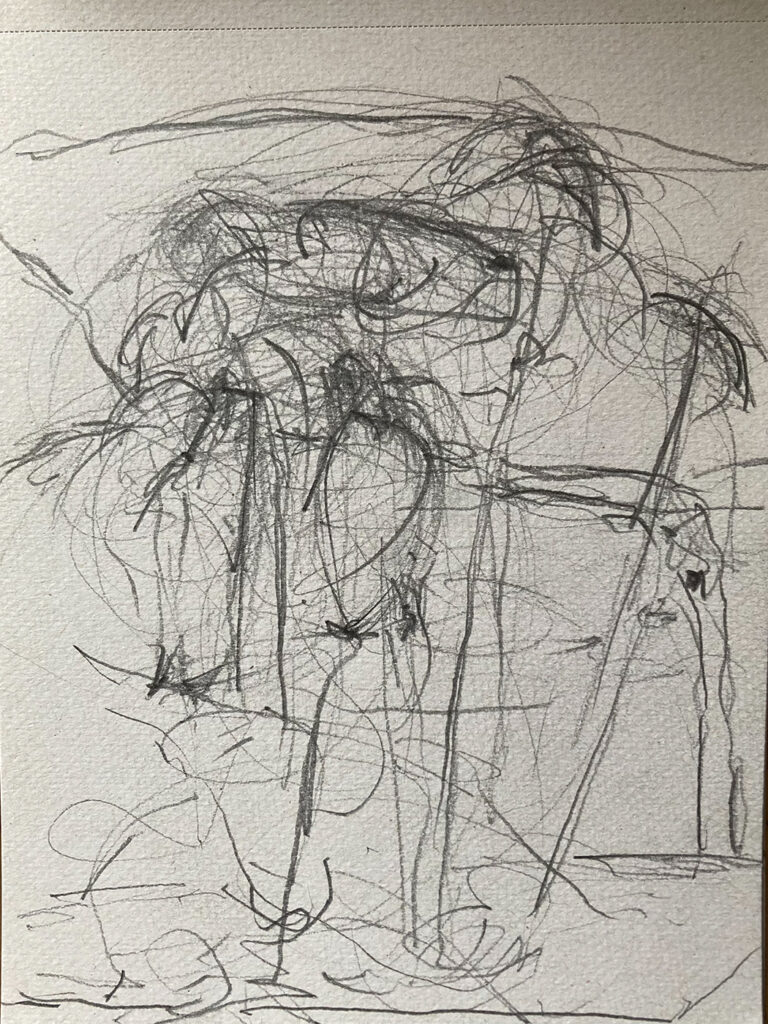 Claudia liedtke, Easter (ullas akelei 2), pencil, A4, Berlin