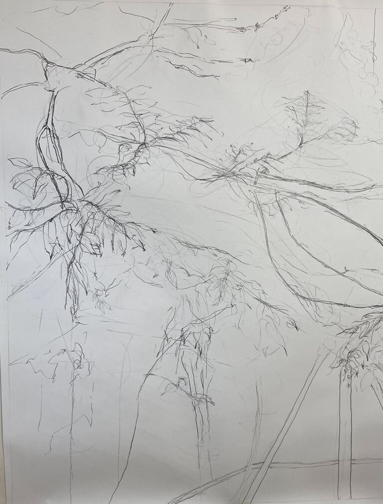 2025, Twigs, Pencil, 170 x 160 cm, 2025