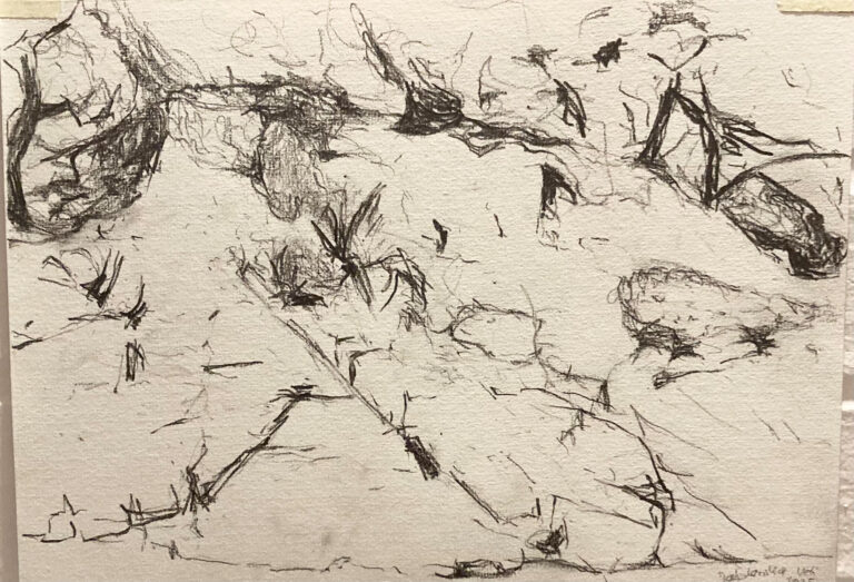 Claudia Liedtke, Coast Line