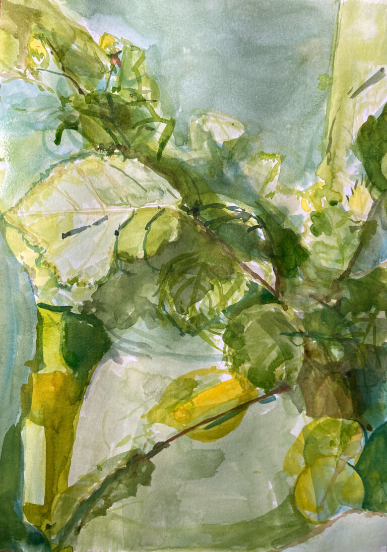 Claudia Liedtke, Lemon Hazel