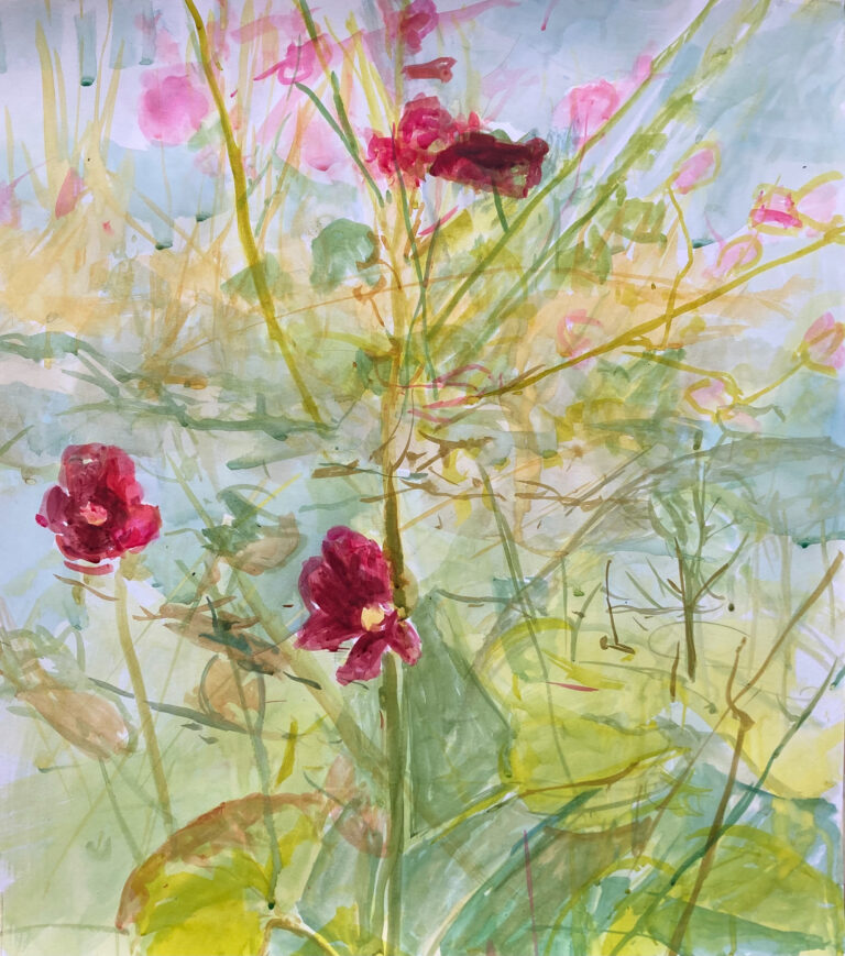 Claudia Liedtke, Meadow (lovely)