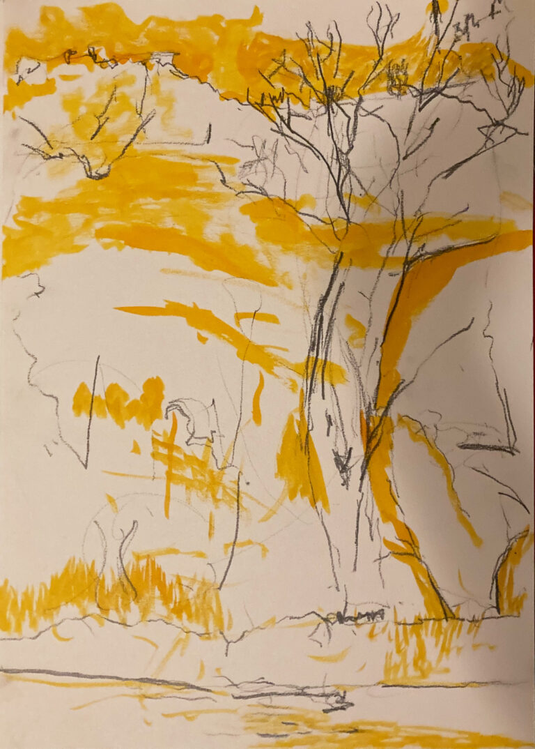 Claudia Liedtke, Tree Altenworth