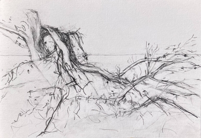 Claudia Liedtke, Tree Trap