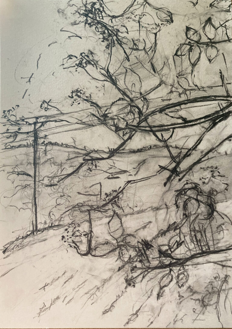 Claudia Liedtke, Wires