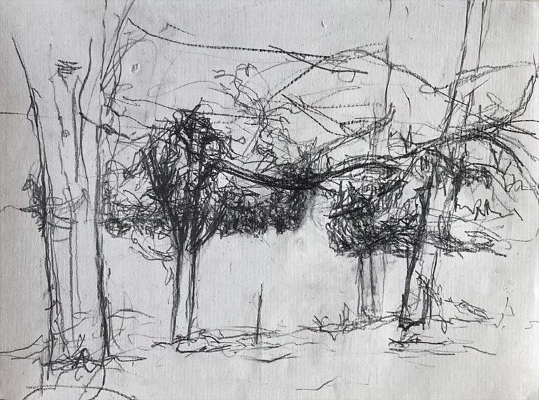 Claudia Liedtke, Teedrawing, Pencil, A4, 2024, Kleinmutschen